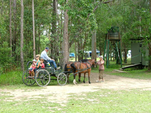 Gympie Camping Grounds