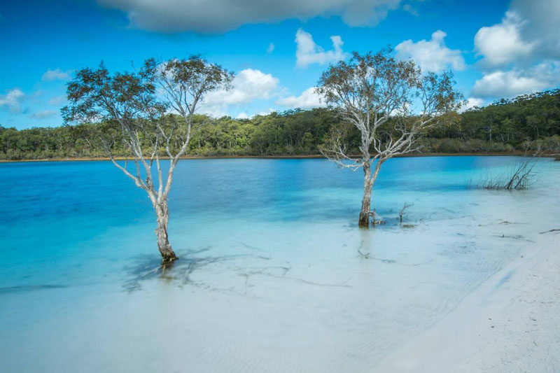 Lake Mckenzie Fraser Island