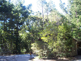 Walk all of Fraser Island