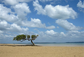 Fraser Island Photos Download