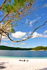 Fraser Island Camping Grounds