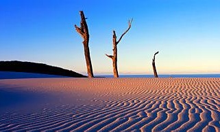 Fraser Island Dunes