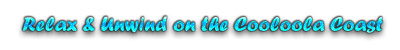Rainbow Beach Businesses