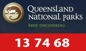 Queensland National Parks Phone Number