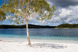 Lake Mckenzie