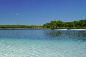 Lake Mckenzie Fraser Island