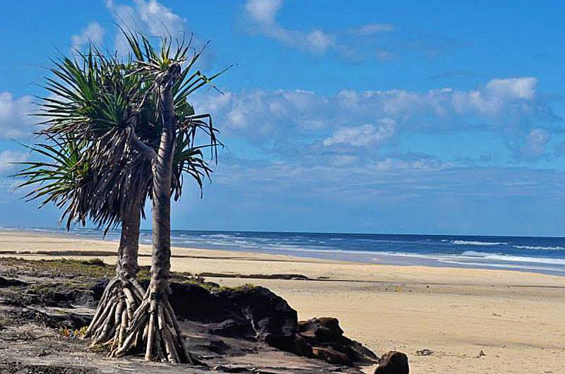 Fraser Island