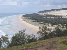 Wall All of Fraser Island Walk All of Fraser Island