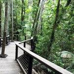 Central Station Fraser Island Facilities