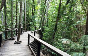 Central Station Fraser Island Facilities