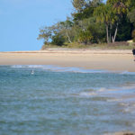 Inskip Point Camping