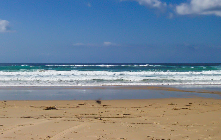 Inskip Point Camping Ground