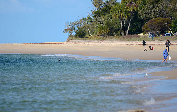 Inskip Point Camping Grounds